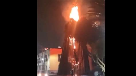 Se Incendia Rbol De Navidad Reci N Instalado En La Plaza Central De