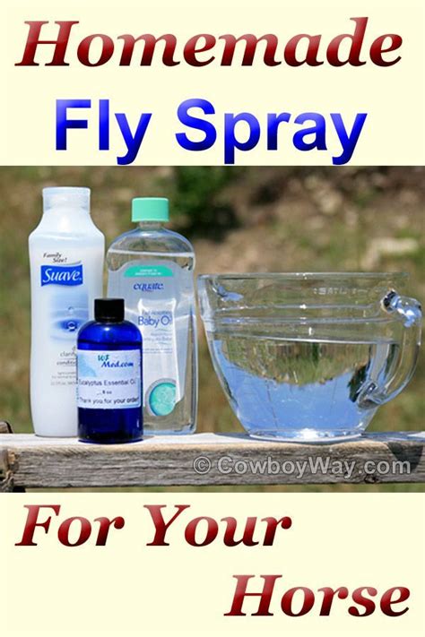 Homemade Fly Spray Recipe For Horses Artofit