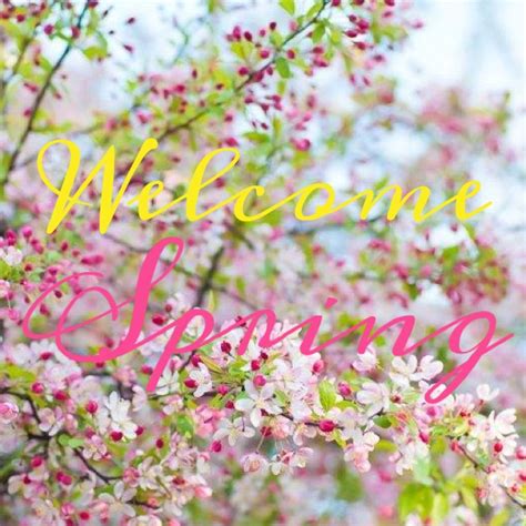 spring bucket list  day