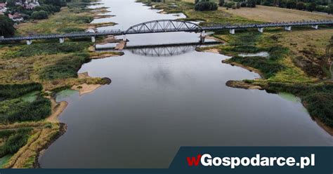 Niemcy ws. Odry: Nie mówiliśmy, że tylko pestycydy trują - wGospodarce.pl