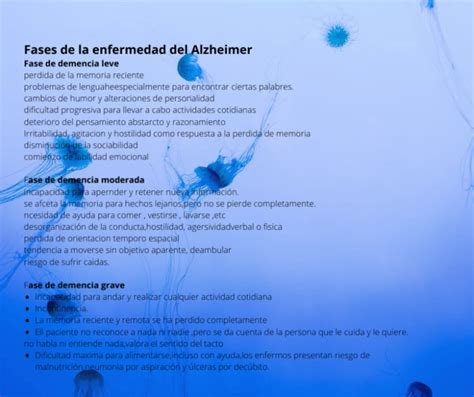 Etapas Del Alzheimer A Las Que Se Enfrenta El Cuidador