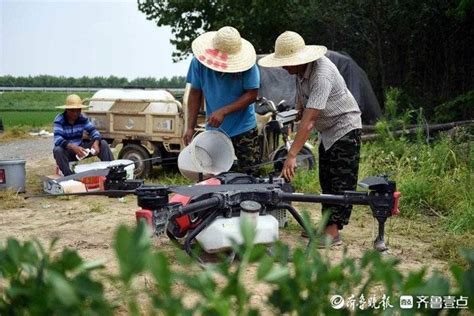 鲁南粮仓稻田一望无际，大型植保无人机飞起来了作业临沂病虫害