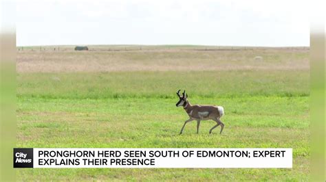 NHLer Brett Howden Breaks Down Under Cross Examination At Sex Assault Trial