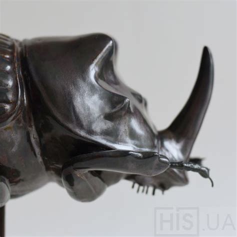 Жук носорог купить в Киеве, цена на дизайнерские Жук носорог с ...