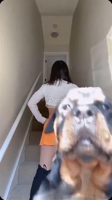 Experts Reveal: 10 Unseen Aspects Of The Tori Pages Photo Leak Image 5