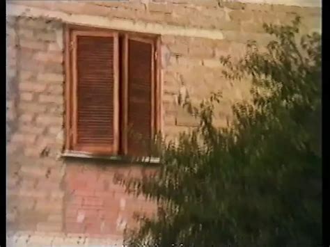 Troie Si Nasce Puttane Si Diventa Free Porn 56 XHamster