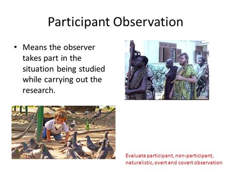 Participant Observation