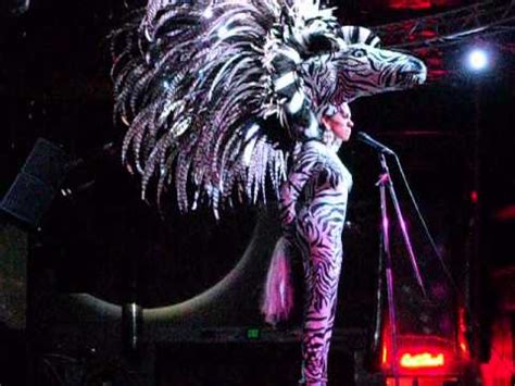 Miss Universo Gay YouTube