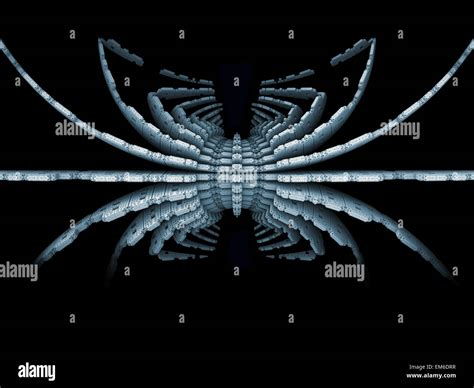 Fractal Spider Element Stock Photo Alamy