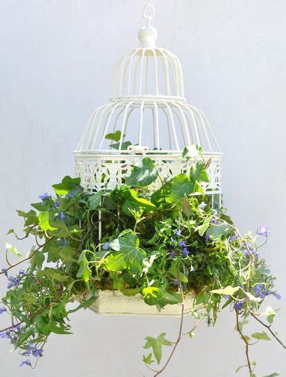 An Ivy Filled Birdcage For Part Shade Birdcage Planter Bird Cage