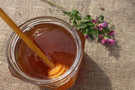 Таежный мёд: полезные свойства и противопоказания