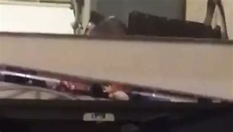 Free Shemale Bondage Porn Videos XHamster