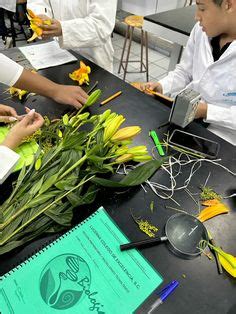Faculdade De Biologia Terrestre - biologia terrestre 💙. | Biologia, Biologia marinha, Faculdade de biologia