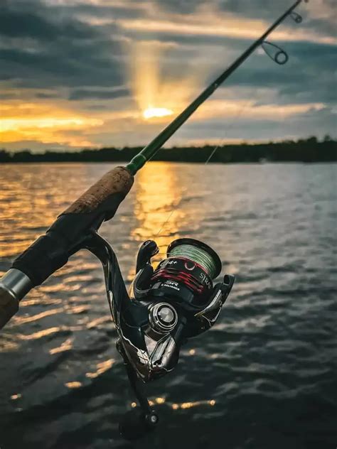 How To Choose The Right Fishing Reel Made Easy In Fishing Reels