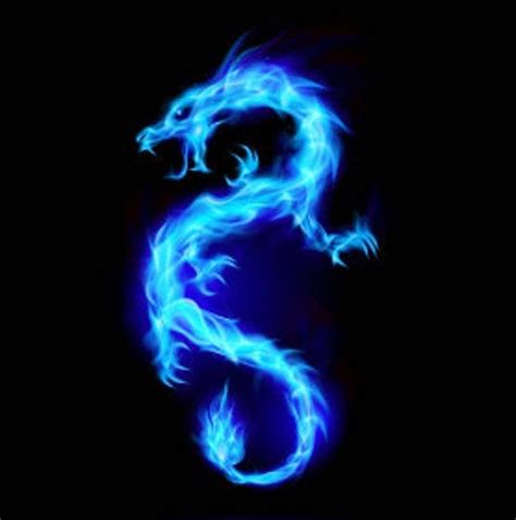 Male Burmese Blue Dragon Direct Bind Remote Bind Etsy Blue Dragon