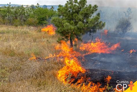 Impactos ambientais: o que são e suas consequências ao meio ambiente ...