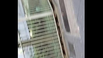 Camel Anyone Xvideos