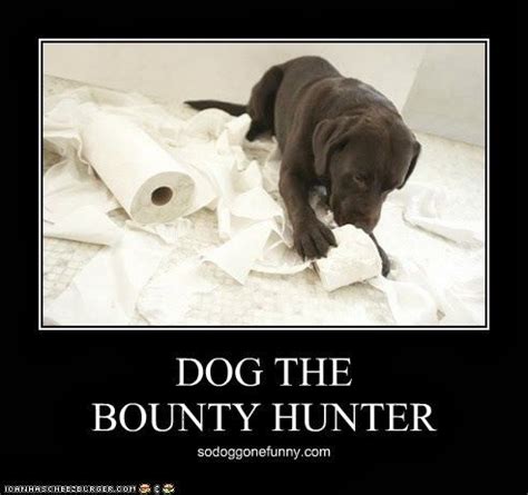 Funny Dog The Bounty Hunter Quotes - ShortQuotes.cc