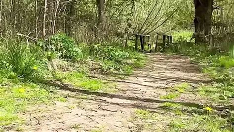 Married Guy Looking For Dick In The Woods Gay Public Porn Feat Kadu Hub Xhamster