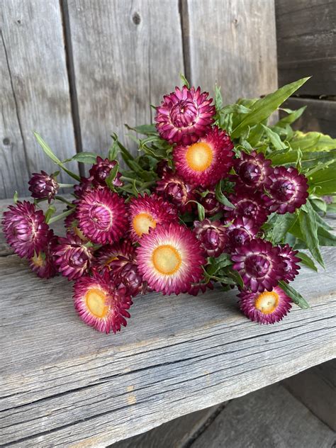GypsyRose Florist added a new photo. - GypsyRose Florist