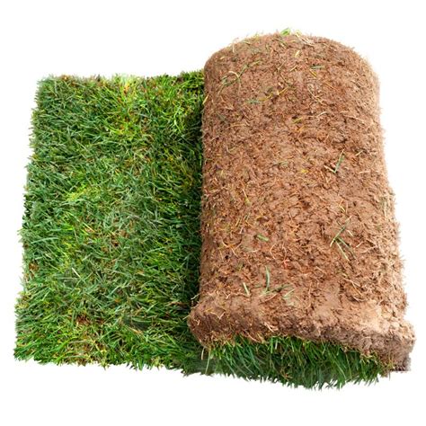 How To Lay Turf An Ultimate Guide Tips Aftercare