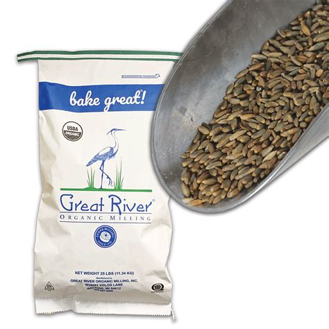 Organic Whole Grain Rye