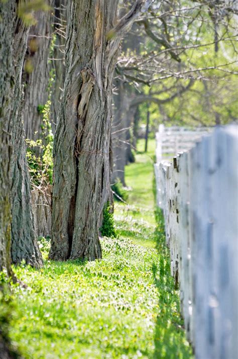 Wood Evolution - Maureen C. Berry