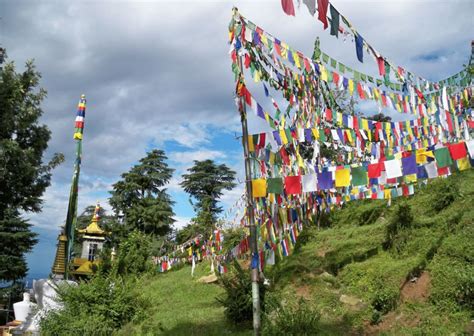 Best Of Dharamshala With A Local Full Day Guided Tour Getyourguide