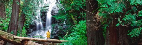 The Best Hikes On Orcas Island