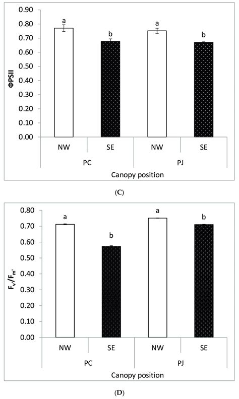 Changes In Chlorophyll Fluorescence Parameters A Fv B Fm C