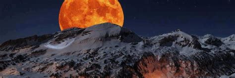 Adult Sex Bilen Biri Twitter