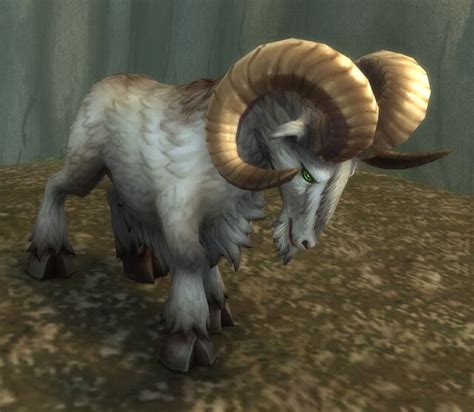 Ram Mob Warcraft Wiki Your Wiki Guide To The World Of Warcraft