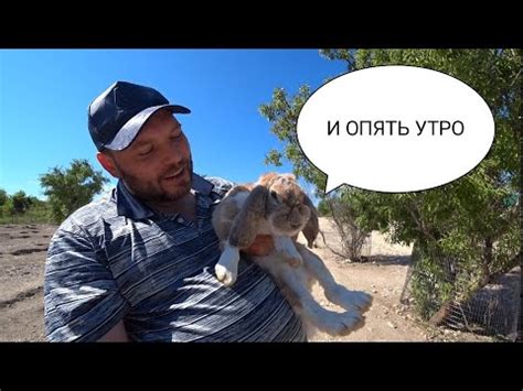 Кроликопарк в Крыму. Бахчисарай. Танковое. Кролики сами идут в руки ...