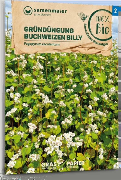 Samen Maier Bio Buchweizen Billy Packung Bloomling Sterreich