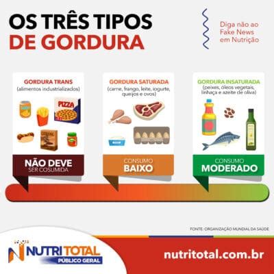 Quais S O Os Tr S Tipos De Gordura Nutritotal Para Todos