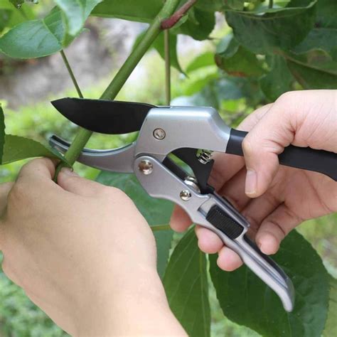 Секаторы Профессиональные ручные секаторы садовые кусачки с SK-5 Острый ...