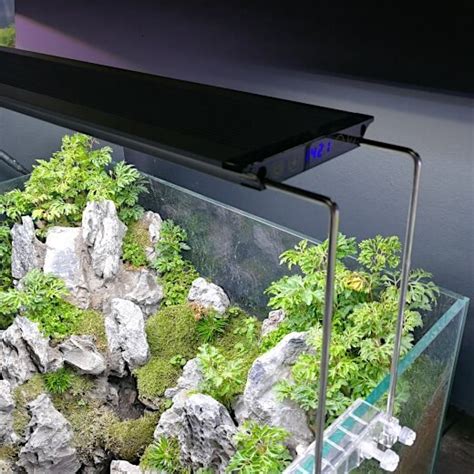 LEDSTAR C Series - GodhemsZoo