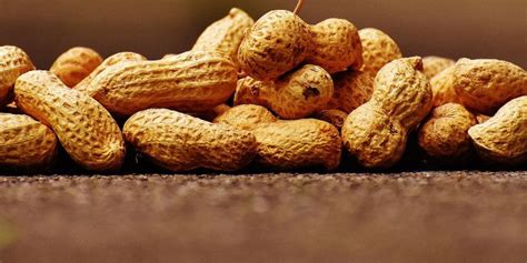 Арахис: польза и применение земляного ореха