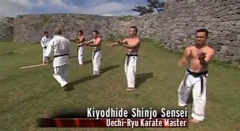 human weapon shin ryu