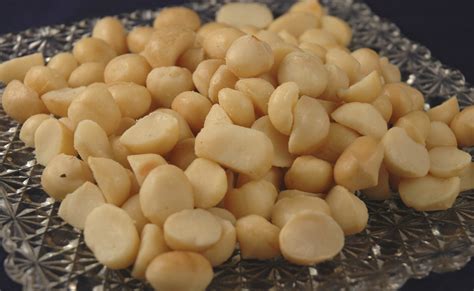 Lb Macadamia Nuts Blanched Roasted Salted Ohio Peanut Shoppe