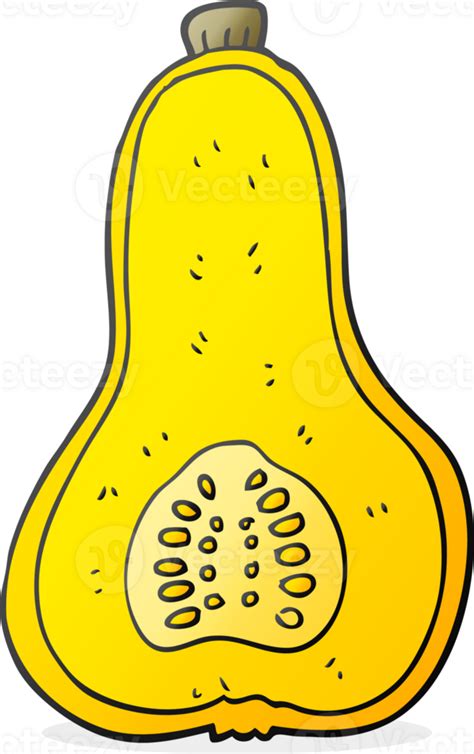 Hand Drawn Cartoon Butternut Squash 45151074 Png