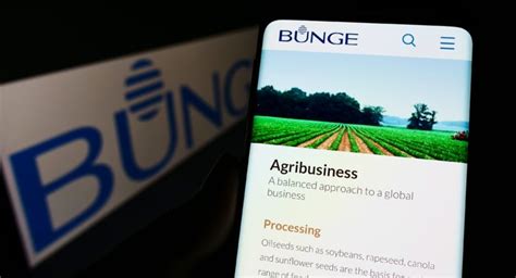 bunge stock profitability   illusion