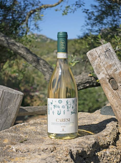 Guida ai Migliori Vini della Sardegna 2024 di Vinodabere – I Migliori