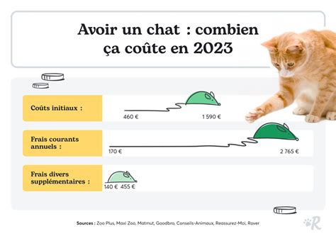 Le Coût Dêtre Propriétaire De Chat 2023