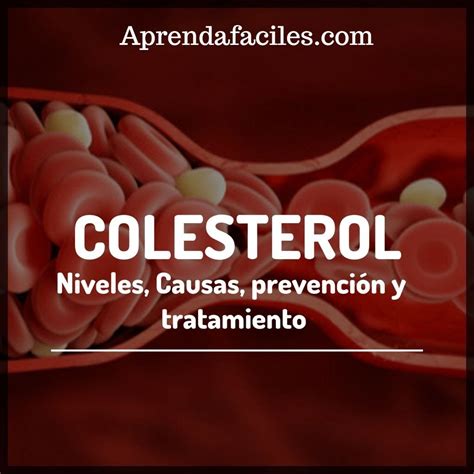 Colesterol Causas Síntomas Y Tratamiento Aprendafaciles