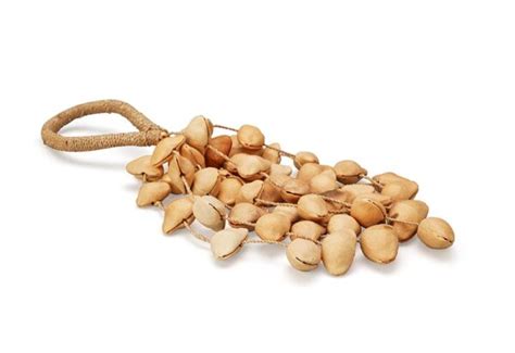 Kenari Seed Shell Shakers Sarveda