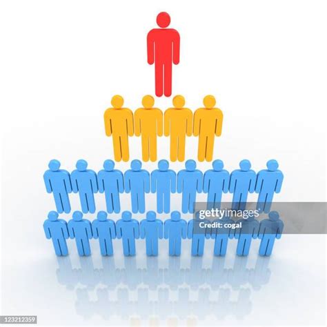 1268 Organizational Hierarchy Stock Photos High Res Pictures And