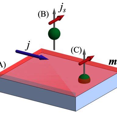 The Three Phenomenological Effects Leading To The Spin Polarization In