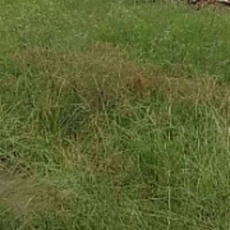 Hospital Ep AI Blowjob Porn Feat Lord Devil XHamster