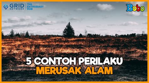 Perilaku Manusia Yang Merusak Alam Fakta Menarik YouTube